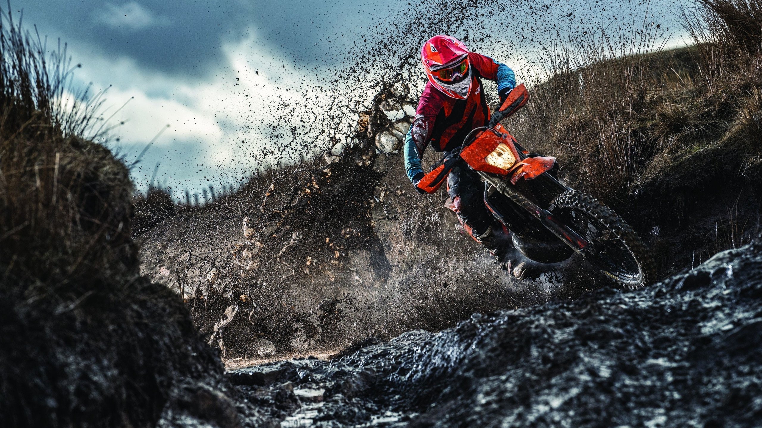 波波维奇100米自由泳决赛精彩纷呈，波波夫自由泳比赛视频